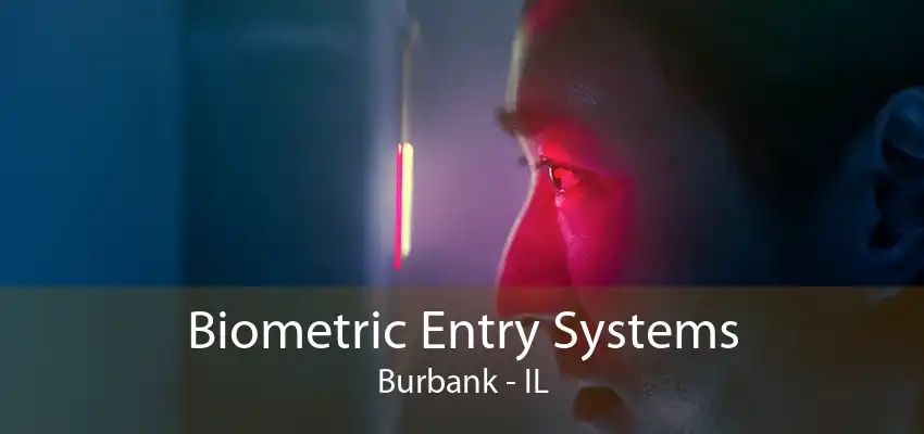 Biometric Entry Systems Burbank - IL