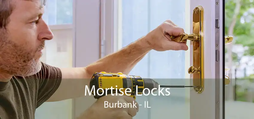 Mortise Locks Burbank - IL